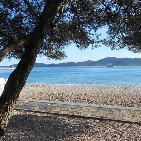 Plutus 比奥格勒·纳·莫鲁